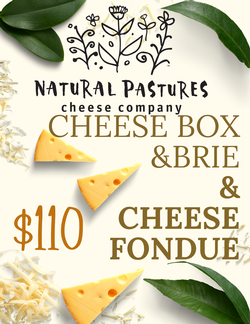 Club Cheese Box+Brie+Fondue