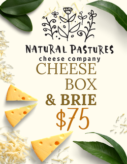 Club Cheese Box +Brie