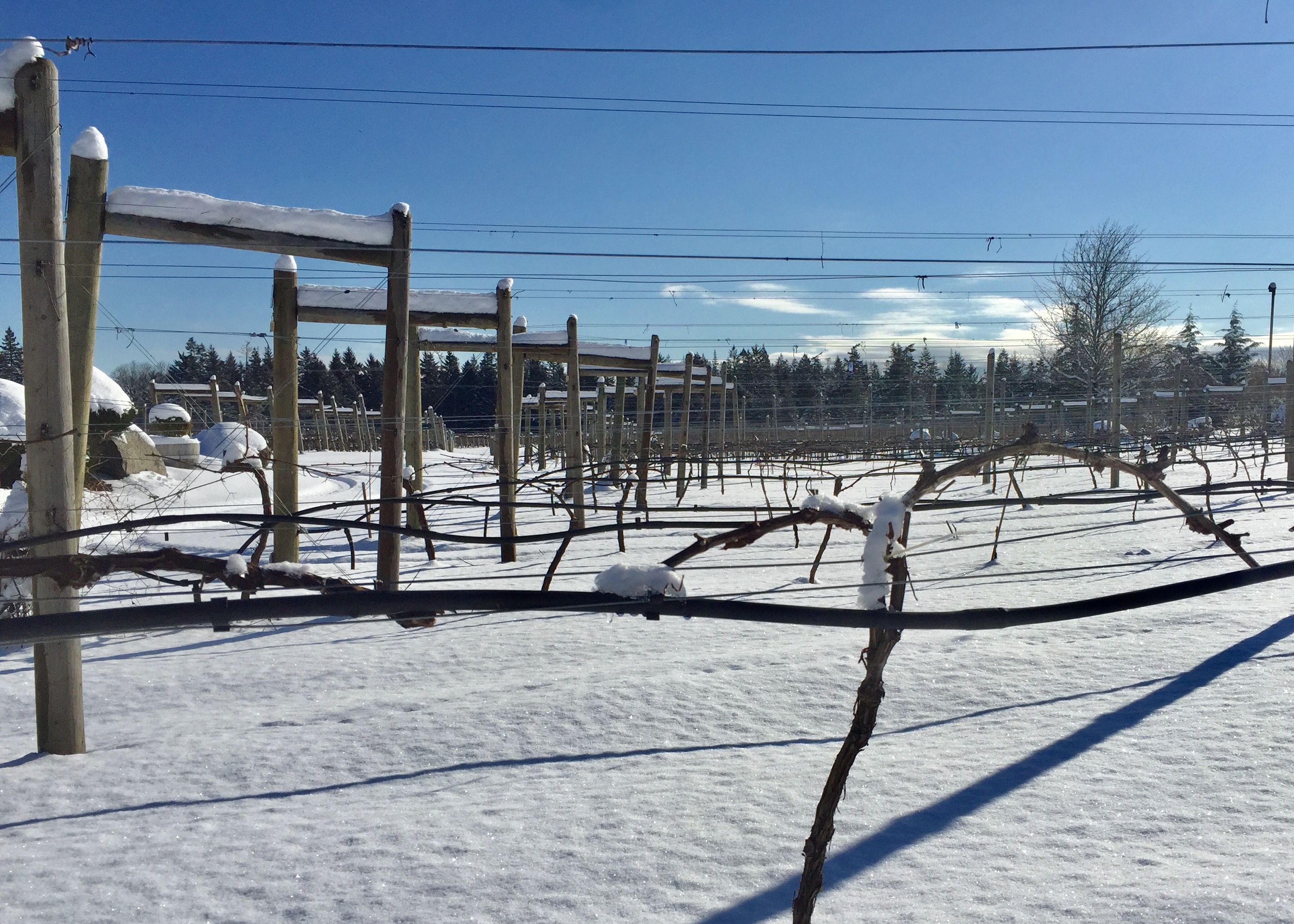 image of winery covered in snow