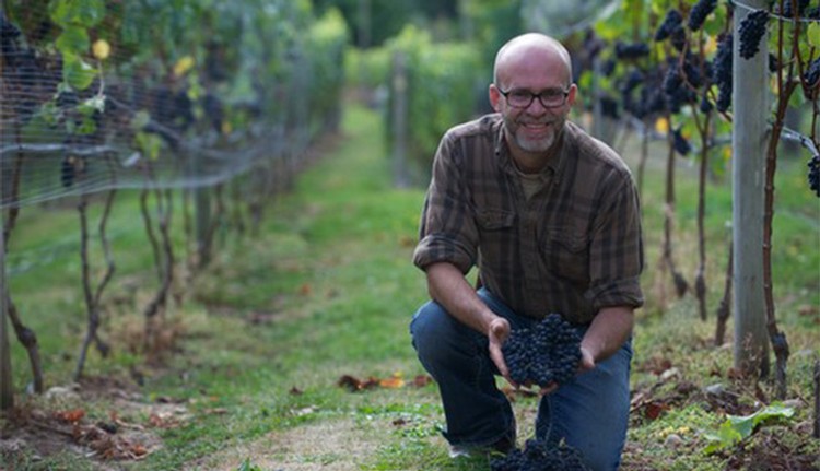 image of Layne Craig kneeling in a row of wine grapes while holding a bunch of red wine grapes.