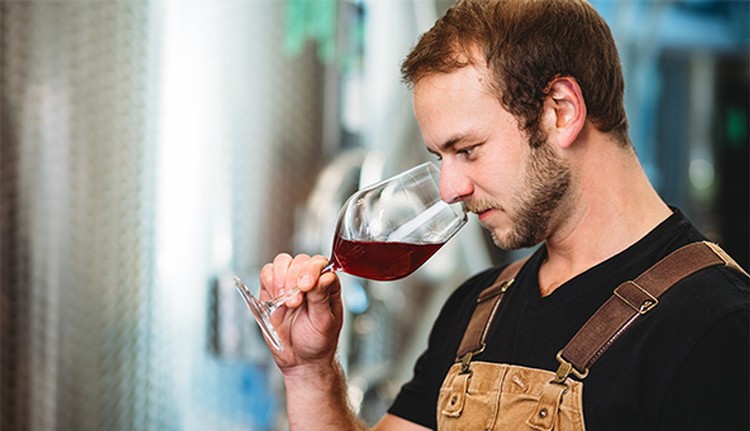 Winemaker appreciating the aromas of red wine