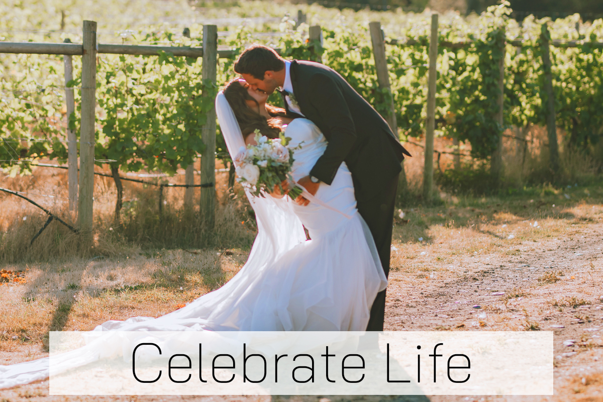 Celebrate Life: Image of couple in wedding attire, kissing in the vineyard.