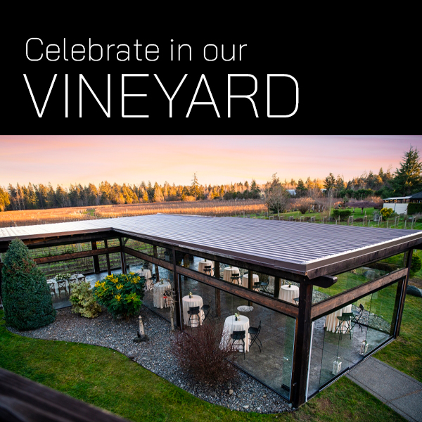 Celebrate in our Vineyard.  Areal image of 40 Knots Vineyard Terrace