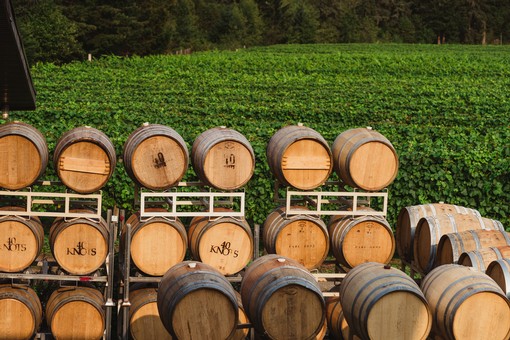 Our Blog, image of wine barrels in a grape field