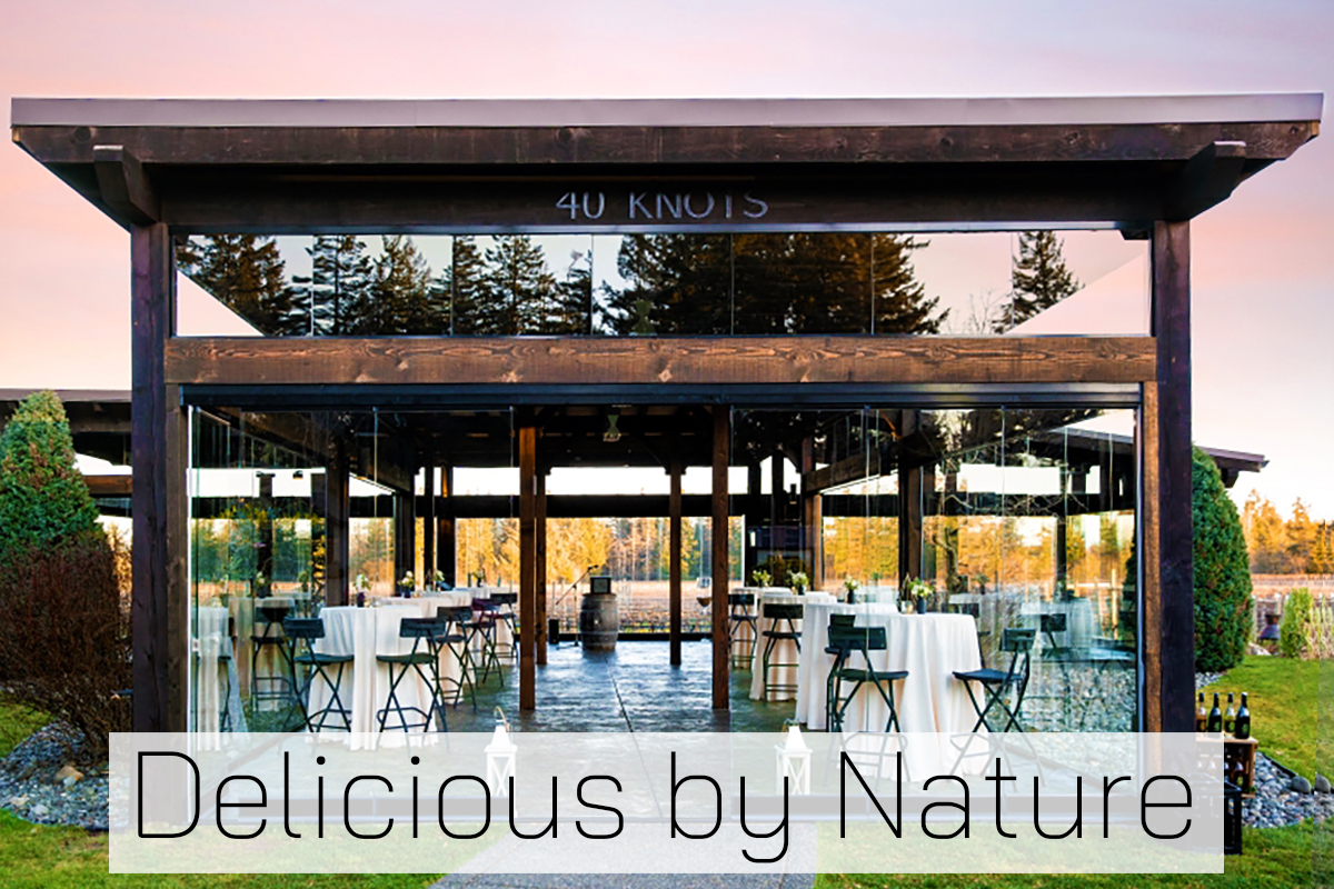Image of stunning vineyard terrace with glass walls and wrought iron tables and chairs.
