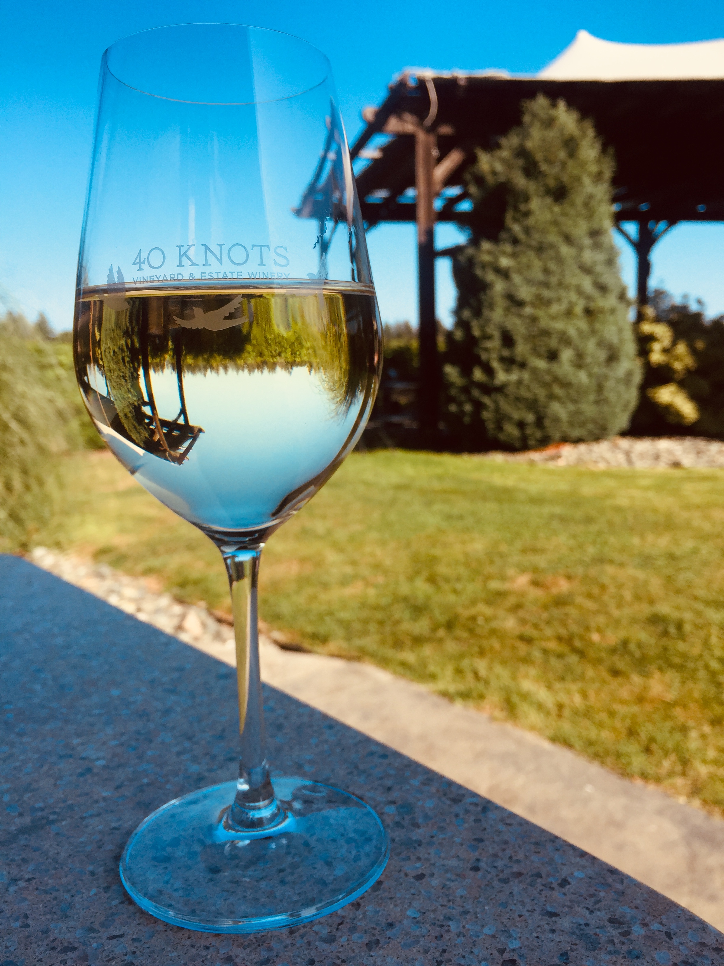 closeup image of 40 Knots white wine glass with inscription