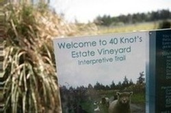 Image of interpretive trail sign.
