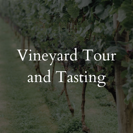 40 Knots Winery Vineyard Tour and Tasting