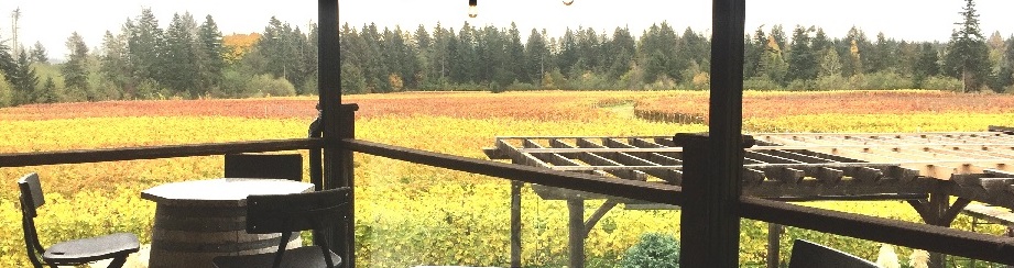 image of the vineyard from the top balcony.