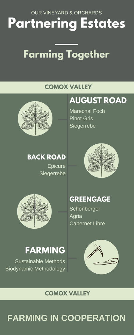 Title: Partnering Estates. Farming Together. Subtitle: Comox Valley.  August Road. Marechal Foch, Pinot Gris and Siegerrebe.  Back Road. Epicure and Siegerrebe.  Greengage. Shonberger, Agria and Cabernet Libre.  Farming. Sustainable Methods and Biodynamic Methodology.  End Title: Farming in Cooperation.