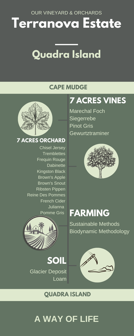 Title: Terranova Estate. Quadra Island. Subtitle: Cape Mudge.  7 Acres Vines. Mrechal Foch, Siegerrebe, Pinot Gris and Gewurtztraminer. 7 Acres Orchard. Chisel Jersey, Tremblettes, Frequin Rouge, Dabinette, Kingston Black, Brown's Apple, Brown's Snout, Ribsten Pippen, Reine Des Pommes, French Cider, Julianna and Pomme Gris.  Farming. Sustainable Methods and Biodynamic Methodology. Soil. Glacier Deposit and Loam. End Title: A Way of Life.