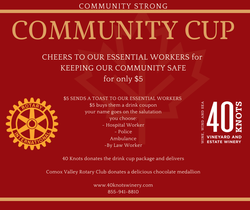 Community Cup
