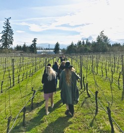 Vineyard Tour with Tasting
