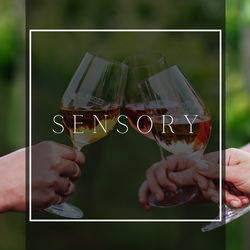Sensory Class - September 19th