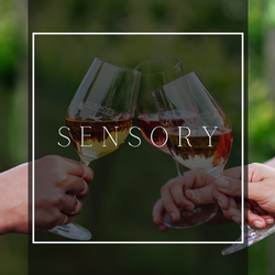 Sensory Class - May 16th