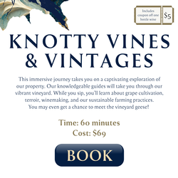 Knotty Vines & Vintages
