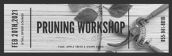 2-4 pm Pruning Workshop