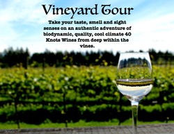 40 Knots Guided Vineyard Tour for two