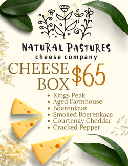 Club Cheese Box